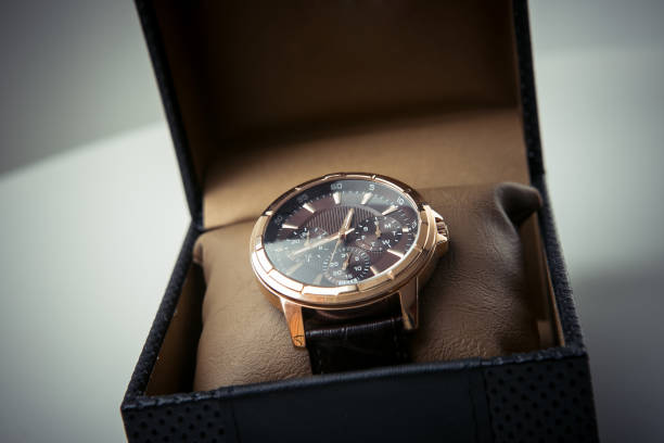 luxury watch (7)